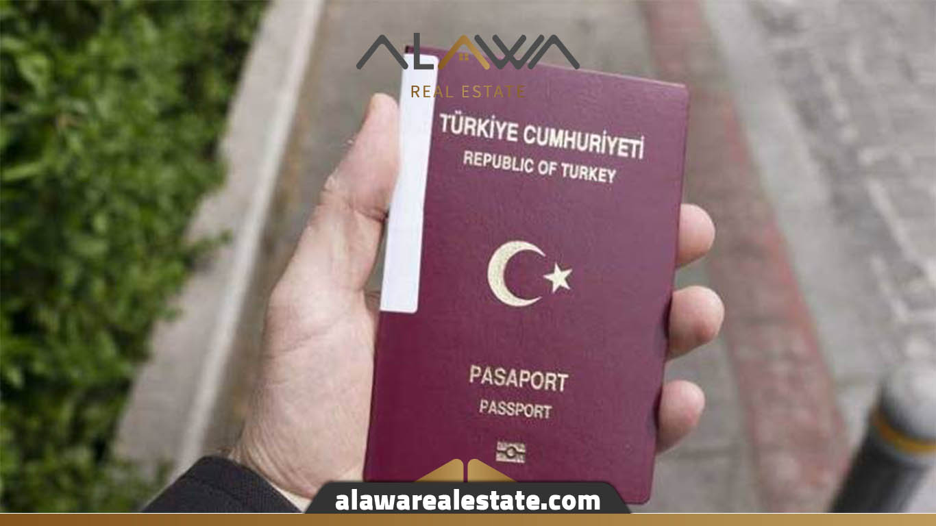 Learn about the ways to obtain Turkish citizenship